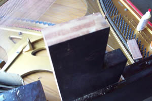 Missing Veneer.